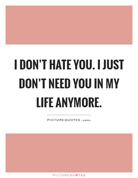 I Dont Hate You I Just Dont Need You In My Life Anymore Picture Quotes