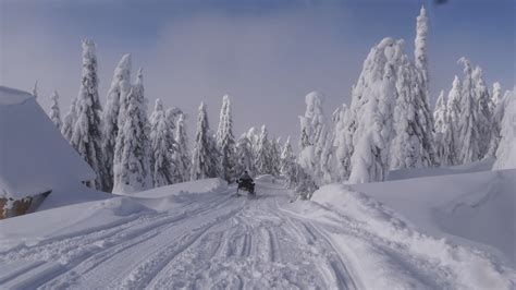 Va Ninge în România în Iarna 2023 2024 Potrivit Anm Iată Prognoza