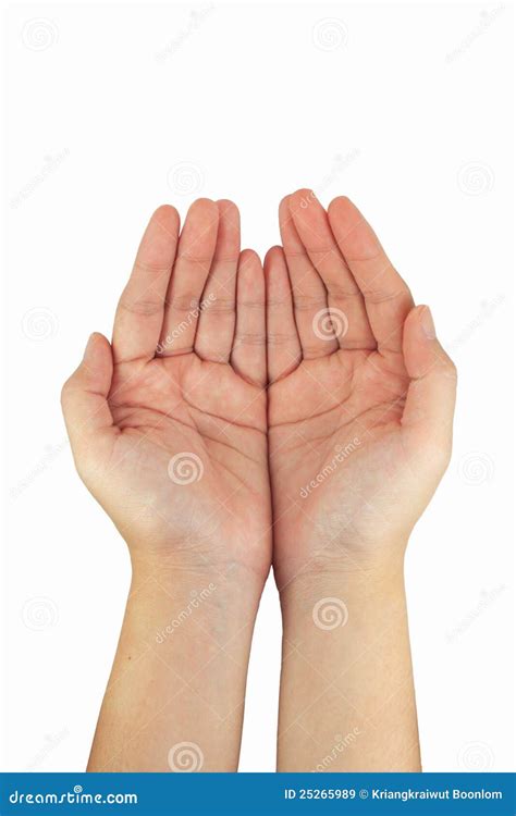 Two Palms Of The Hand Stock Image Image Of Palm Nature 25265989