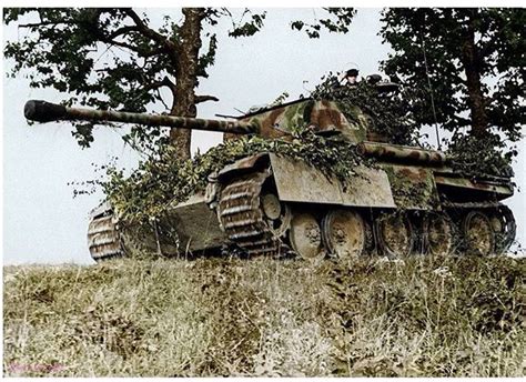 Panther Aus F G From 11th Panzer Divisionghost Division Near Bures 20