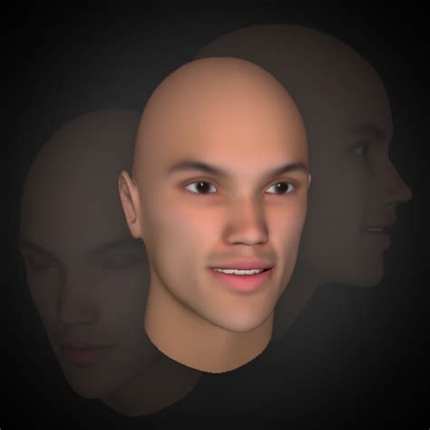 Heads Hair Men 3d Model