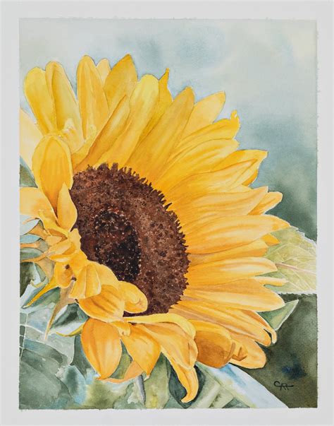 Sunflower Cheryls Watercolor