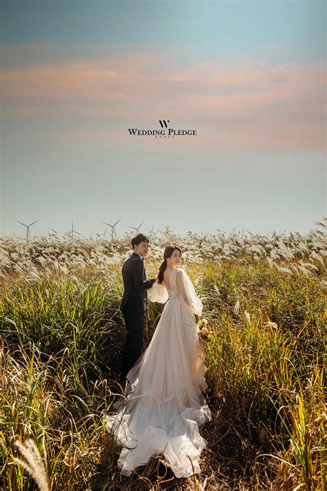 Korean Prewedding Jeju Island Package （autumn） Korea Wedding Pledge Pre Wedding Photoshoot