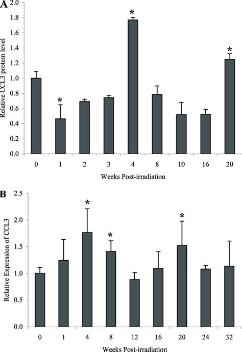 Thoracic Irradiation Induced CC Chemokine Ligand CCL 3 Production In