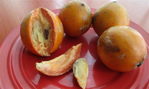 5 interesting health benefits of agbalumo african star apple