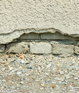 Mice, bugs, and other pests are not just nuisances: Is Foundation Damage Covered By Your Florida Homeowners ...