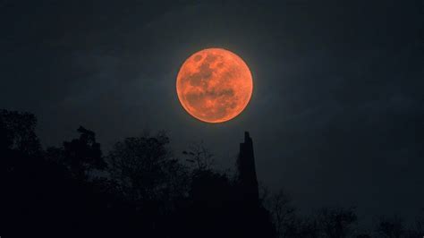 Blood Moon Super Blood Moon Happens This Month How You Can See It