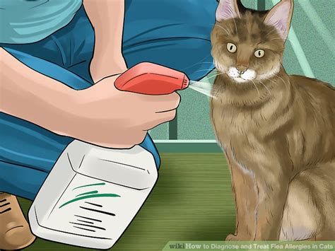 The most common cause is fleas. How to Diagnose and Treat Flea Allergies in Cats: 13 Steps