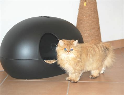 Discover the best cat litter boxes in best sellers. Review: Poopoopeeedo Cat Litter Box | Meow Lifestyle