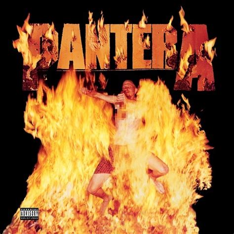 Pantera Reinventing The Steel 180gm Vinyl Lp Gf For Sale Online And