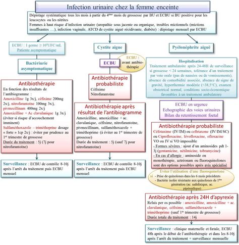 Le traitement de l'infection urinaire repose sur l'antibiothérapie, la majoration des boissons et le traitement des facteurs. Traitement infection urinaire femme enceinte