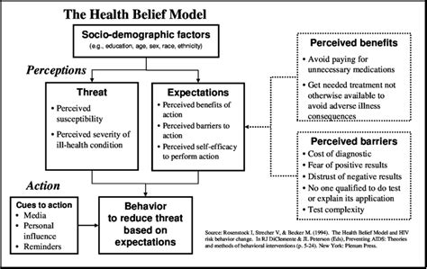 Adapted Health Belief Model Download Scientific Diagram