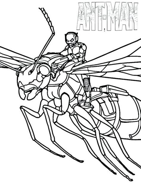 These pesty little guys are hard at work gathering food, showing off their strength and just hanging out at the ant hill. Ant Man Coloring Pages | Avengers coloring pages, Coloring ...