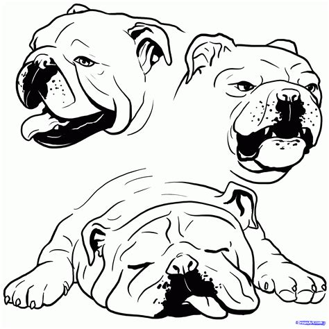 人気 Oliver Gal キャンバスアート Relaxed Puppies 41 X 41cm 最大30off