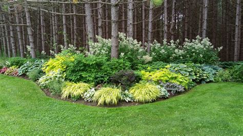 Happy in full sun or in part shade with protection from the afternoon sun, japanese pieris is a broadleaf evergreen shrub that grows 4' to 8' tall. Spectacular Plant Combinations for the Perennial Garden ...