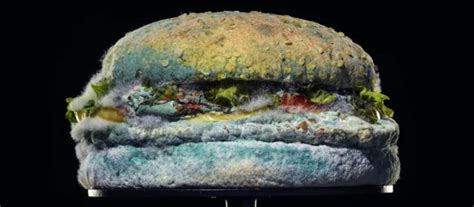 Burger King’s Moldy Whopper Succeeded Miserably. Here’s Why: | Ace Metrix