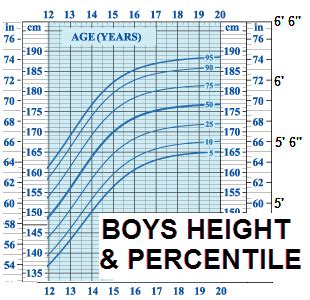 Normal heights for boys (range: What do Percentile Mean in a Test Report? - South County ...