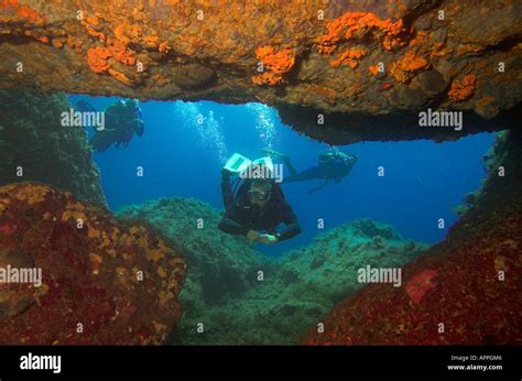 Scuba Diver Underwater By Entrance To Cave With Colourful Sponges On