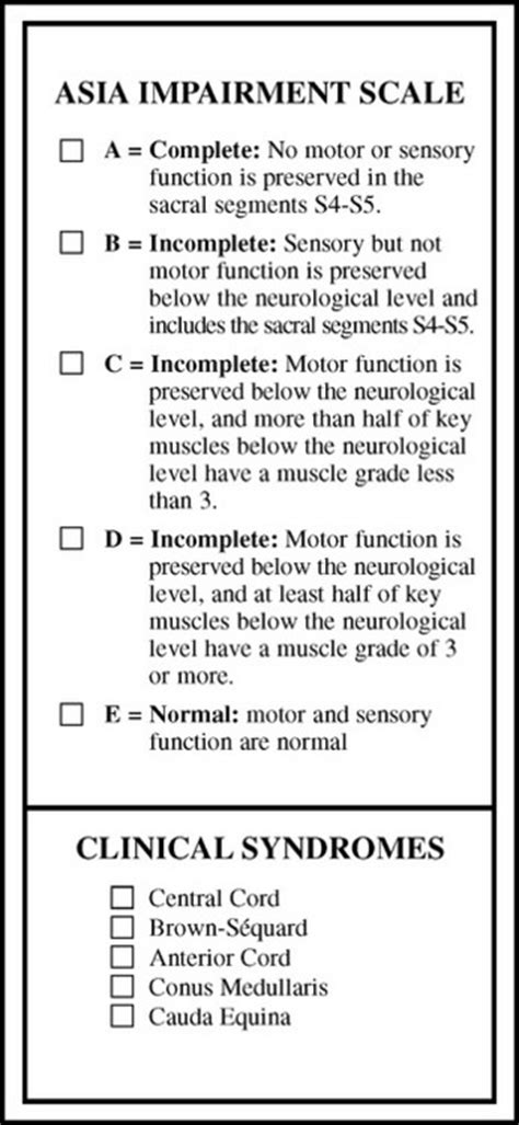 Neurorehabilitation Neupsy Key
