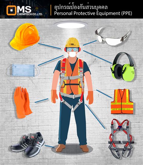 อุปกรณ์ป้องกันส่วนบุคคล Personal Protective Equipment Ppe 8 ชนิด