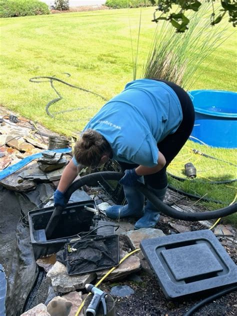 Services Koi Gardens Inc