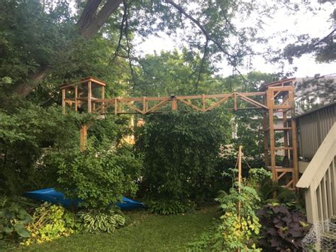Explore a wide range of the best cat catwalk on aliexpress to find one that suits you! Pet Lover Builds Sprawling Outdoor Cat Tree House in his ...