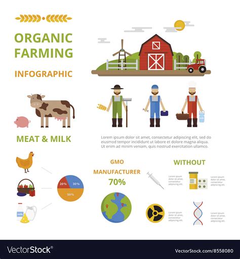 Agriculture Farming Organic Food Infographic Vector Image