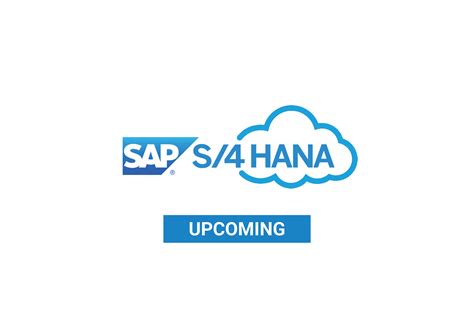 SAP S 4 Hana Cloud Integration Sync SAP S 4 Hana Data Cleo