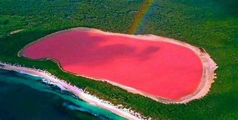 Conoces El Lago Rosa De Australia Nuestroclima