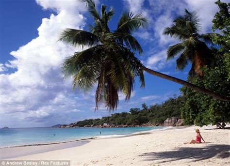 Seychelles Shark Attack Ian Redmond And Wife Gemma Pictured Lovestruck On Honeymoon Daily