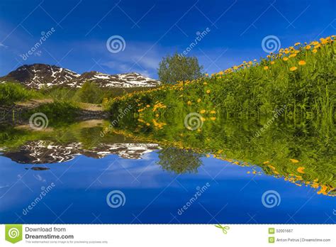 Reflection Spring Landscape In The Water Stock Image Image Of