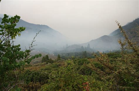While this looks like the fog we commonly observe, what we see in this photo is smoke from the dozens of forest fires still raging across oregon. IMGP8404-Forest_Fire_Smoke-BalchPark-SequoiaNM | This ...