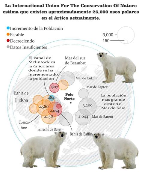 El Oso Polar En Peligro De Extinción Por Calentamiento Global