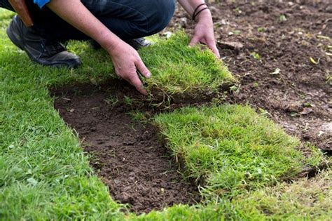 How To Repair The Edge Of A Lawn Bbc Gardeners World Magazine