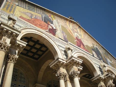 Visit The Garden Of Gethsemane Holy Land Tour Tour Of The Holy Land