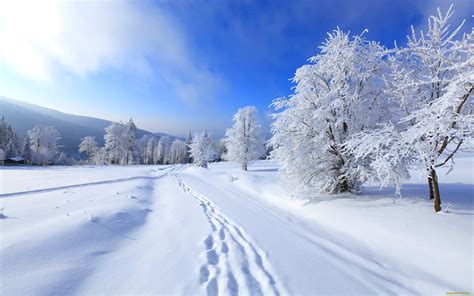Зимняя Природа Картинки Красивые Скачать Бесплатно Telegraph