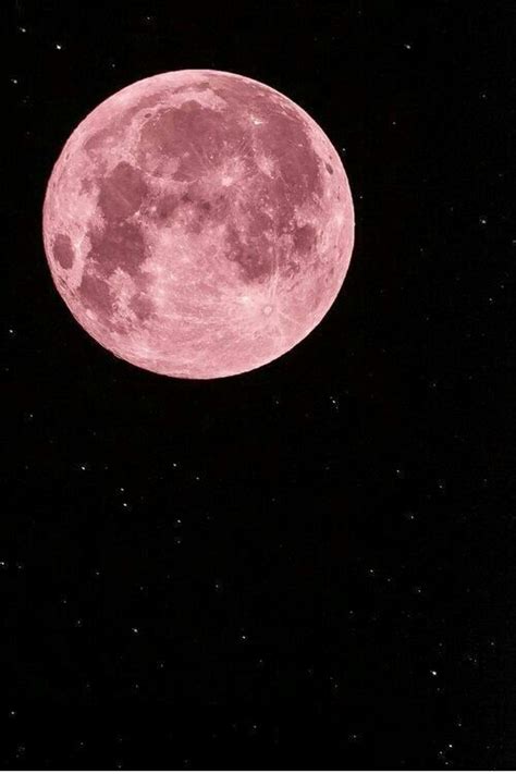 The Full Pink Moon Is Shining In The Night Sky