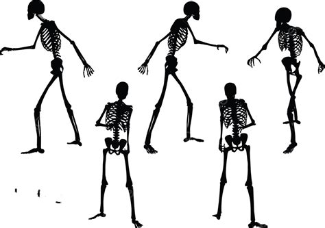 Silhueta De Esqueleto Em Pose Aleatória Esboço De Esboço De Ossos Vetor