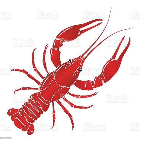 Vector Boiled Red Crayfish Crawfish Stock Illustration Download Image