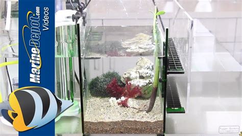 Fiji cube refugium sump baffle kit. How to Set Up a Refugium Inside Your Sump - YouTube | Aquarium sump, Marine aquarium, Diy aquarium