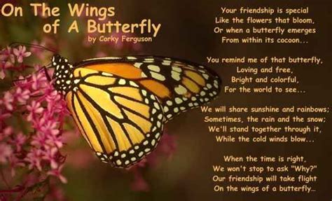 Legend Of The Butterfly Poem How To Attract Birds Plants That