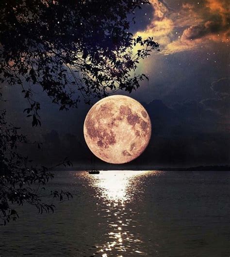 Download A Beautiful Moon Illuminating A Star Filled Night Sky