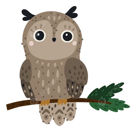 Cute Owl Sitting On Tree Branch Colorful Cartoon Background Png And