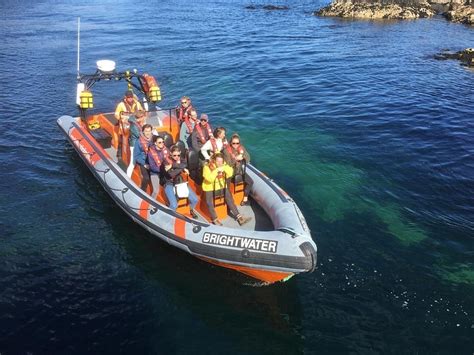 Eyemouth Rib Trips All You Need To Know Before You Go