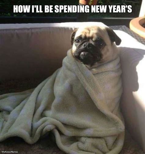 Super Funny New Year’s Eve Memes That Will Have You Chuckling Eu Vietnam Business Network Evbn