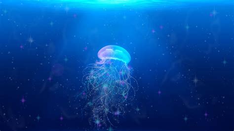 Download Wallpaper 2560x1440 Jellyfish Underwater World Swim