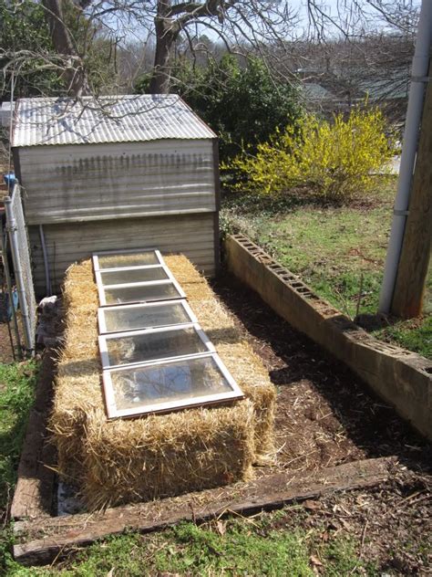 How To Build A Cold Frame In Under 30 Minutes With No Tools Cold