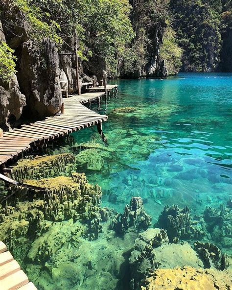 Barracuda Lake Coron Palawan Philippines Beaches In The World