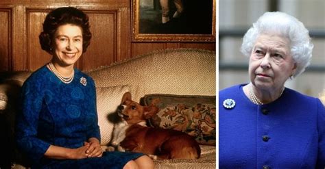 The Queen S Last Corgi Has Died But Here S Why She Chooses Corgis