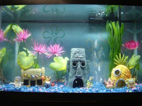 Spongebob Squarepants Aquarium Set Up Small Fish Tanks Spongebob